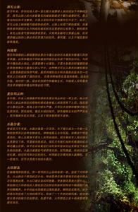 《激戰：英雄世界》