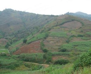 那素自然村 那素自然村