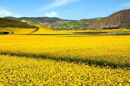 葛嶺村[福建永泰縣葛嶺鎮下轄村]