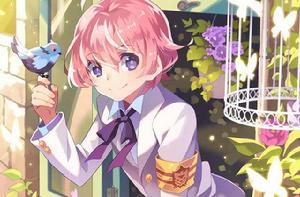 栽培少年 栽培少年