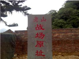 老山輪戰 老山輪戰