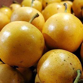 敦煌八大怪 敦煌八大怪