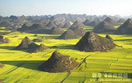 羅平峰林 羅平峰林