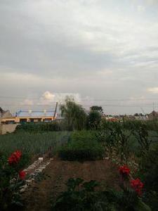 幸福滿族鄉 幸福滿族鄉