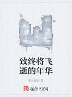 致終將飛逝的年華 致終將飛逝的年華