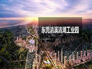 清溪青湖工業園 清溪青湖工業園