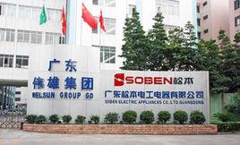 廣東松本電工電器有限公司 廣東松本電工電器有限公司