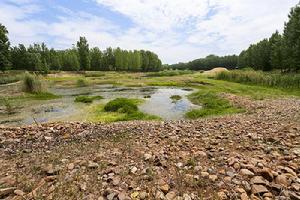 孟家溝村 孟家溝村