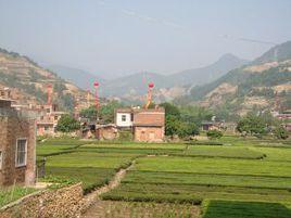 新美村[浙江省嘉興市秀洲區洪合鎮下轄村]