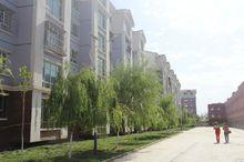 喀拉塔勒鎮圖片