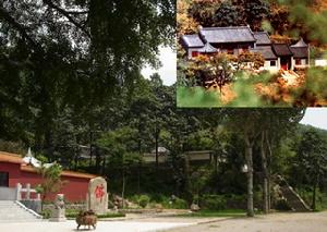 安丘公冶長書院 安丘公冶長書院