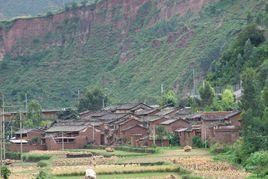 迷樂田村 迷樂田村