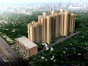 和平金色城品 和平金色城品