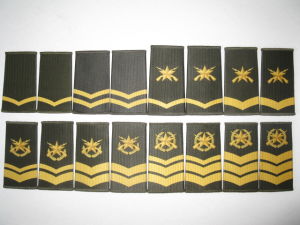 1999年制士官軍銜（圖中為陸軍樣式）