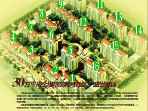 大禹盛世金橡 大禹盛世金橡