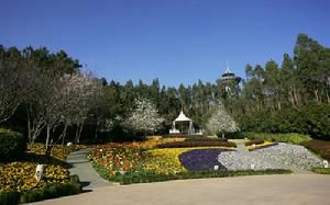 專業型世博會 專業型世博會