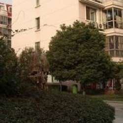 唐周巷小區 唐周巷小區