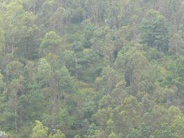 峩崀回自然村 峩崀回自然村