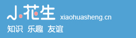 小花生 小花生
