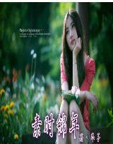 素時錦年 素時錦年