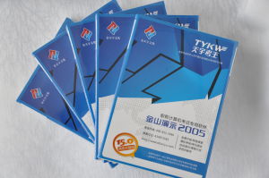 天宇考王 天宇考王