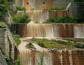 柴田敏雄 柴田敏雄