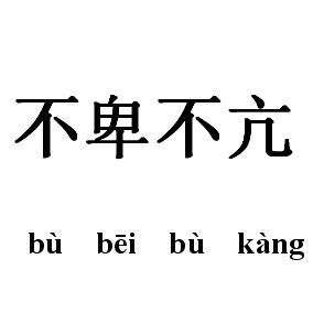 不卑不亢 不卑不亢