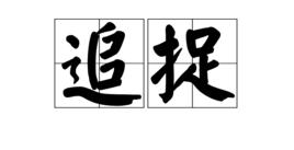 追捉 追捉