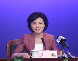 王梅[海政電視藝術中心演員]