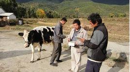 種草養牛技術手冊 種草養牛技術手冊