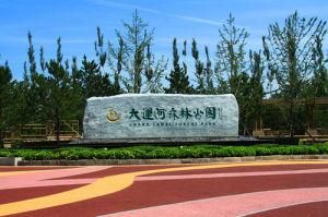 大運河森林公園 大運河森林公園