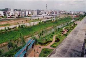 金裝社區 金裝社區