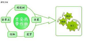 國家重要熱帶作物工程技術研究中心