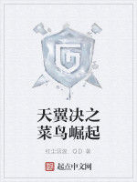天翼決之菜鳥崛起 天翼決之菜鳥崛起