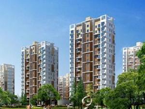 泰達港灣 泰達港灣