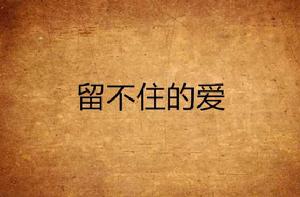 留不住的愛 留不住的愛