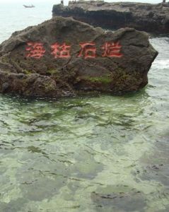 海枯石爛 海枯石爛