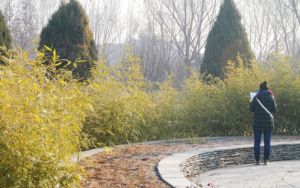 陽光星期八公園