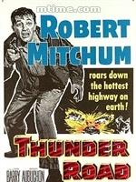 火車大劫案[火車大劫案]