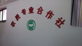 農民合作社 農民合作社