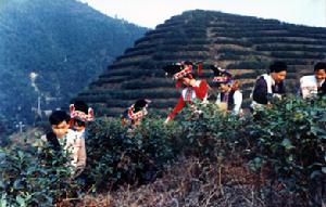 常寧市-塔山茶場