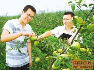 塔山鎮[四川省綿陽市三台縣]