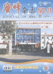 《蜜蜂雜誌》