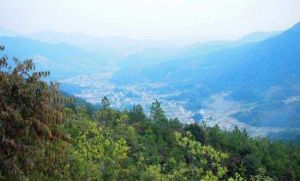 頂上生態風景區 頂上生態風景區