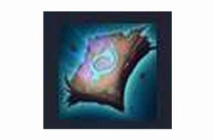 遺失的章節 遺失的章節