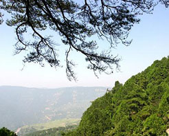 （圖）天龍八景