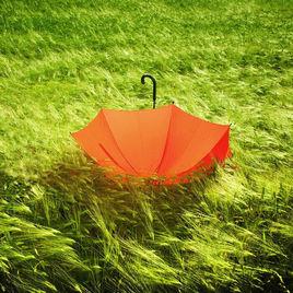 文藝范兒 文藝范兒