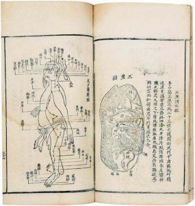 中西匯參醫學圖說 中西匯參醫學圖說