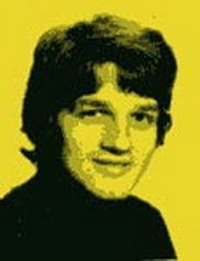 瑞典布倫斯特隆