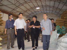 劉曉嵐[河北鯤鵬飼料集團董事長劉曉嵐]